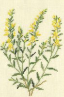 Желтые полевые цветочки