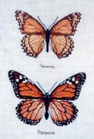 Две оранжевые бабочки