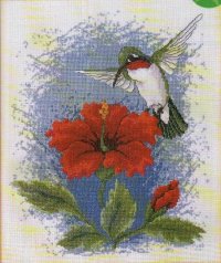 Колибри на красном цветке