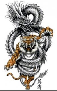 Тигр и дракон