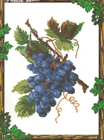 Виноград синий