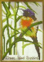 Схема вышивки крестом: Птичка-нектарница