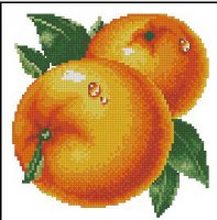 Пара апельсинов с каплями росы