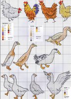 Схема вышивки крестом: Домашняя птица
