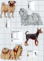 Схема вышивки крестом: Маленькие породы собак