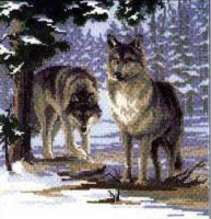 Пара волков в лесу