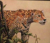 Схема вышивки крестом: Леопард выходит из зарослей