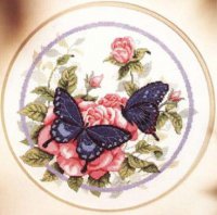 Синие бабочки на розе