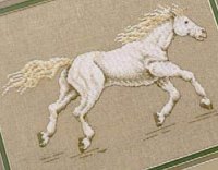 Бегущий белый конь