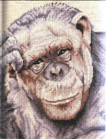 Схема вышивки крестом: Шимпанзе
