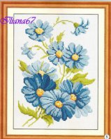 Синие красивые полевые цветы