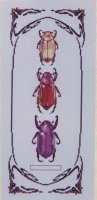 Три жука