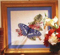 Синяя бабочка на ветке с красными цветами
