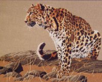Схема вышивки крестом: Леопард на охоте