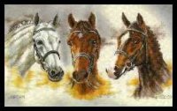 Тройка коней
