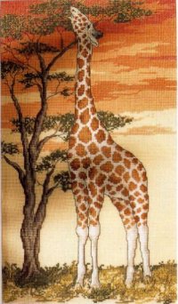 Животный мир африки жираф