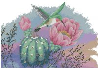 Колибри на кактусе