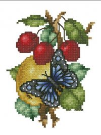 Бабочка на фруктах