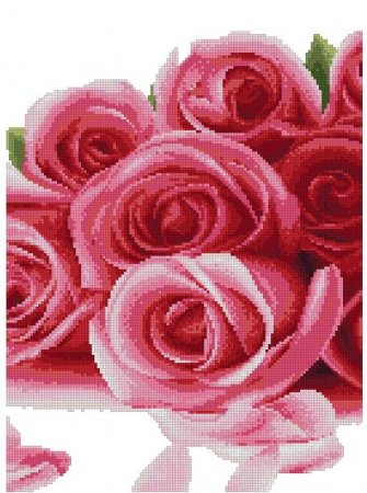 Розовые розы и лепестки