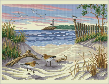 Чайки на песке