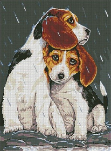 Собачки под дождём