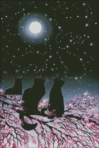 Коты в ветвях сакуры под луной