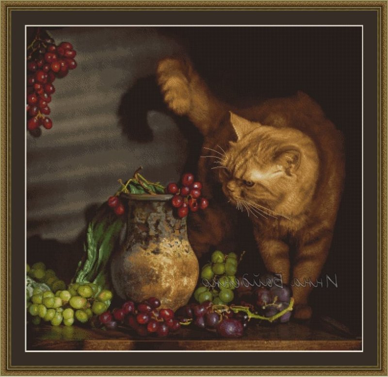 Кот и виноград