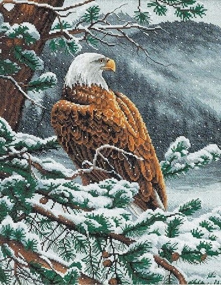 Орёл на снежных ветвях