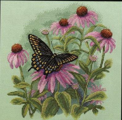 Чёрная бабочка на розовых ромашках