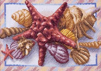 Схема вышивки крестом: Морские ракушки и звезда